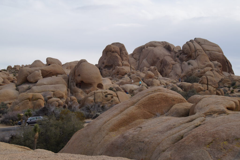 Joshua Tree National Park